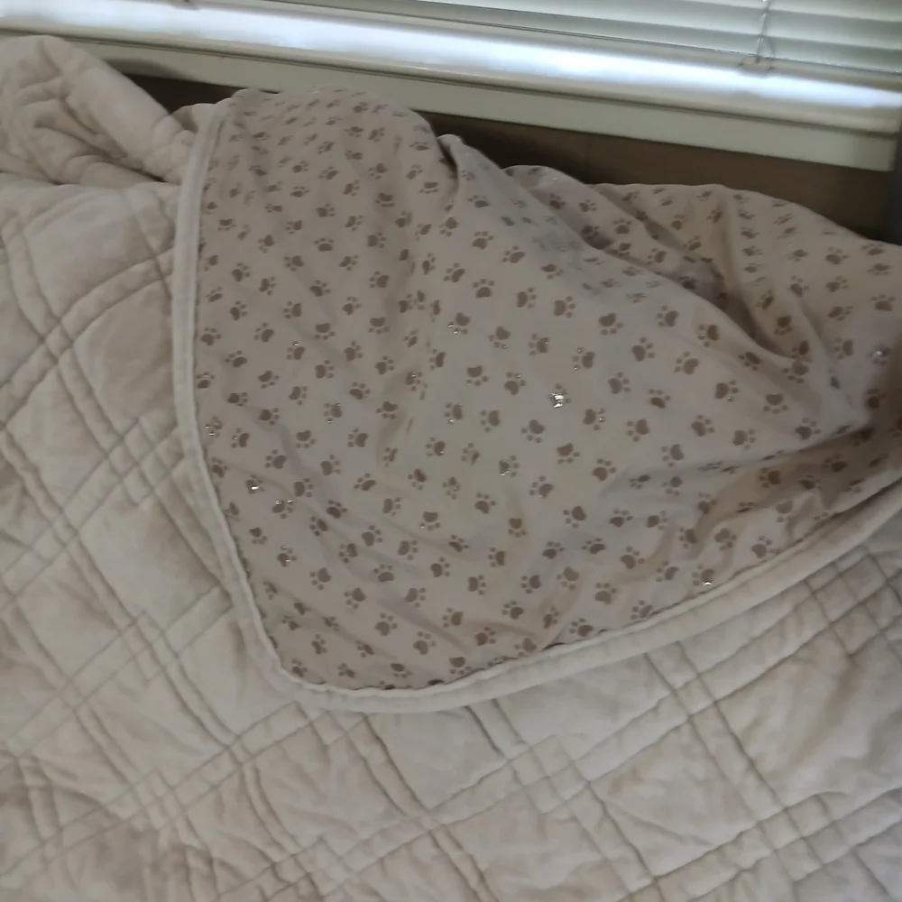 Cozy Quilted Sofa Cover in Beige